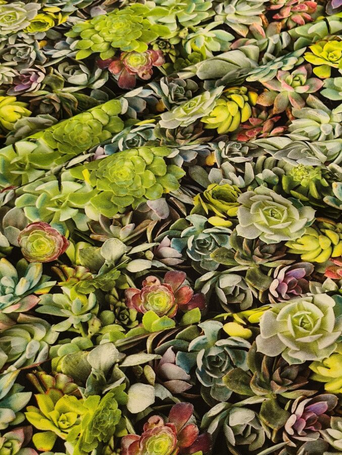 Viscose twill with bright colour succulents 